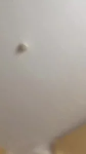 女友大喊操我